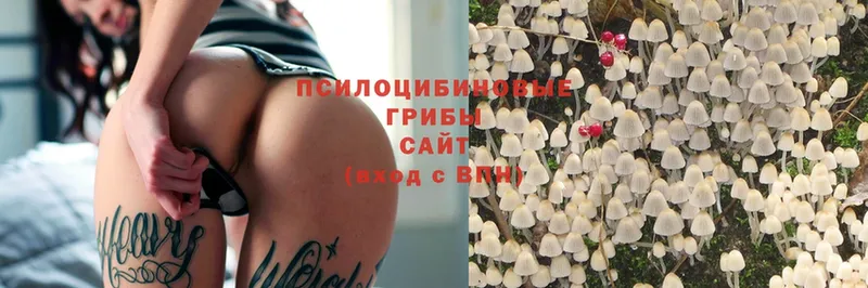 Галлюциногенные грибы Magic Shrooms  наркошоп  Уварово 